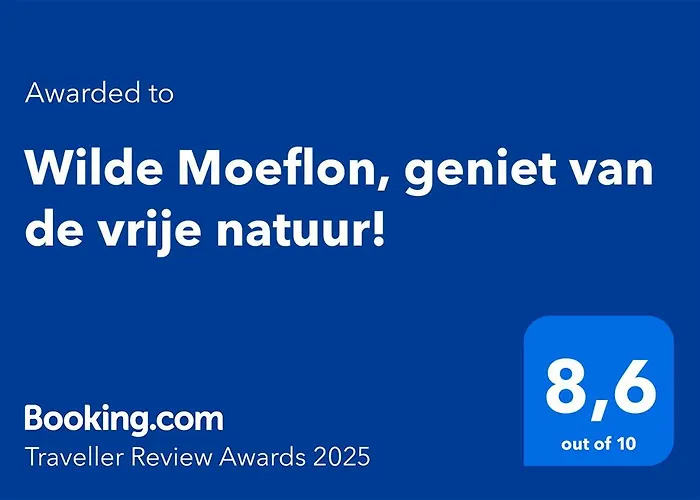 Wilde Moeflon, Geniet Van De Vrije Natuur!