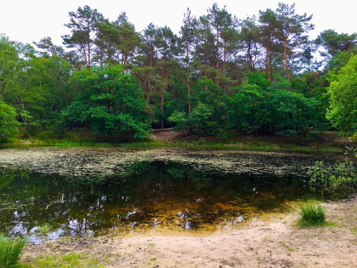 Wilde Moeflon, Geniet De Vrije Natuur! Hébergement de vacances *